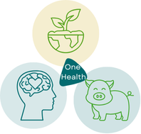 One Health links human, animal, and environmental health, promoting cross-sector collaboration to tackle shared health threats. © M. Scherbov